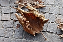 Parco Europa Autunno_047